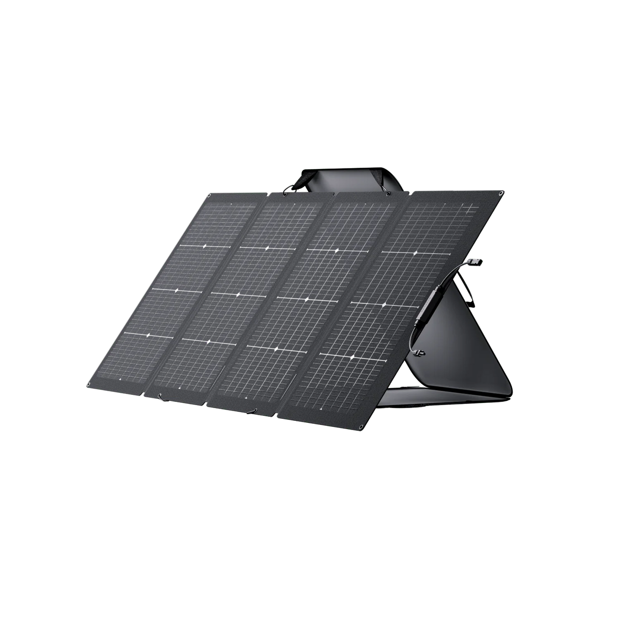 EcoFlow 220W Bifacial Portable Solar Panel - Canadian Off Grid